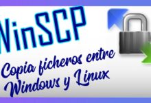 💾 Copias de cobertura entre Linux y Windows 10 |