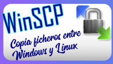 💾 Copias de cobertura entre Linux y Windows 10 |