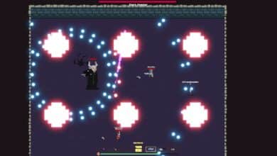 El Co -Author de Roll20 muestra la tierra Bullet Hell Mmo Wyld con una manifestación ahora