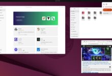 Ubuntu 25.04 'Playly Puffin' ahora salió ahora