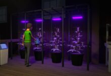 Anexo de SIM de drogas aplasco que planea apoyar completamente el mazo de vapor, usaré el mazo como un "estándar de rendimiento"