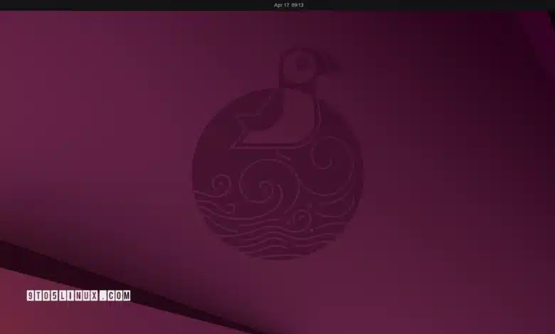 Ubuntu 25.04 "Parkry Puffin" está disponible para descargar ahora, esto es nuevo