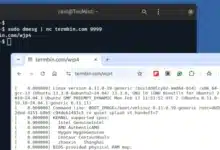 Una forma rápida y segura de compartir la salida del terminal