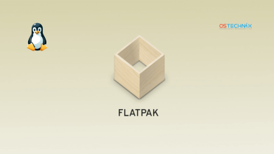 Eliminar aplicaciones planas no utilizadas para liberar espacio en disco en Linux