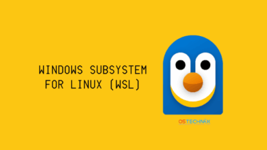 El subsistema de Windows para Linux (WSL) ahora es de código abierto oficialmente