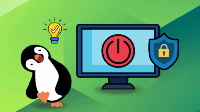 ¿Qué son los archivos seguros de arranque y cuña? Explicar a los usuarios de Linux