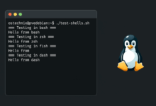 Cómo ejecutar múltiples conchas en Linux: Carnival, Fish, ZSH, etc.