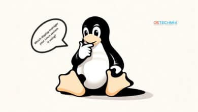 Cómo encontrar el administrador de visualización actualmente activo en Linux