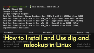 Cómo instalar y usar DIG y NSLookup en Linux