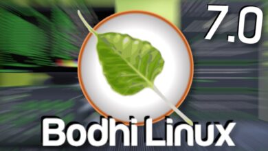 Bodhi Linux 7.0 | ¡Bauntu más ligero!