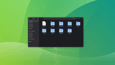 Acceda al directorio raíz en Nautilus File Manager