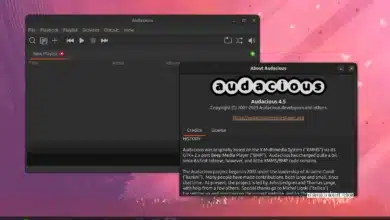 Audacious 4.5