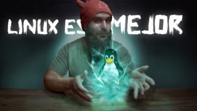Por qué Linux es mejor programático