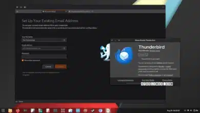 Thunderbird 142