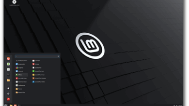 ¡Lanzamiento de LMDE 7 "Gigi"! – Blog de Linux Mint