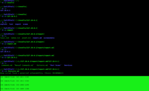 Detección automática de vulnerabilidades Detección automática de vulnerabilidades