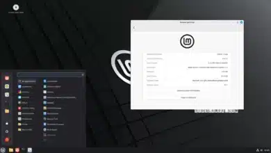 LMDE (Linux Mint para Debian) 7 ya disponible para descargar