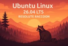 La compilación diaria Ubuntu 26.04 LTS "Resolute Raccoon" ya está disponible