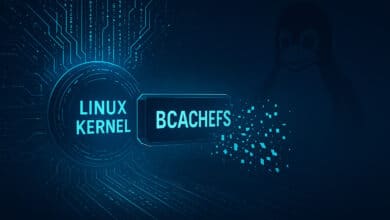 Linus Torvalds elimina el código de núcleo de BCACHEFS del kernel de Linux