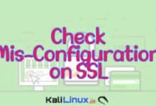 SSLyze en Kali Linux