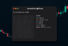 Stonkfetch: una herramienta de neofetch que rastrea el inventario de obras de arte ASCII