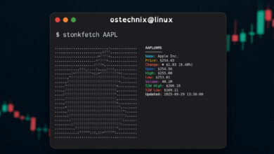 Stonkfetch: una herramienta de neofetch que rastrea el inventario de obras de arte ASCII