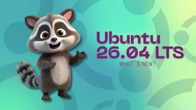 Fecha de lanzamiento y nuevas funciones.