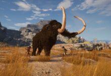 Sobrevivir todos los días es una batalla feroz en el próximo Primal Survival.