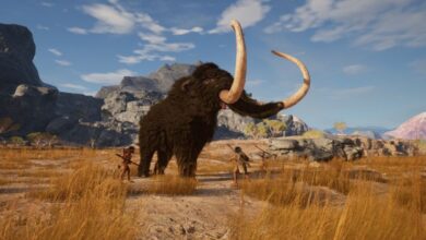 Sobrevivir todos los días es una batalla feroz en el próximo Primal Survival.