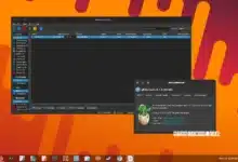 qBittorrent 5.1.3
