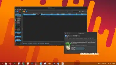 qBittorrent 5.1.3
