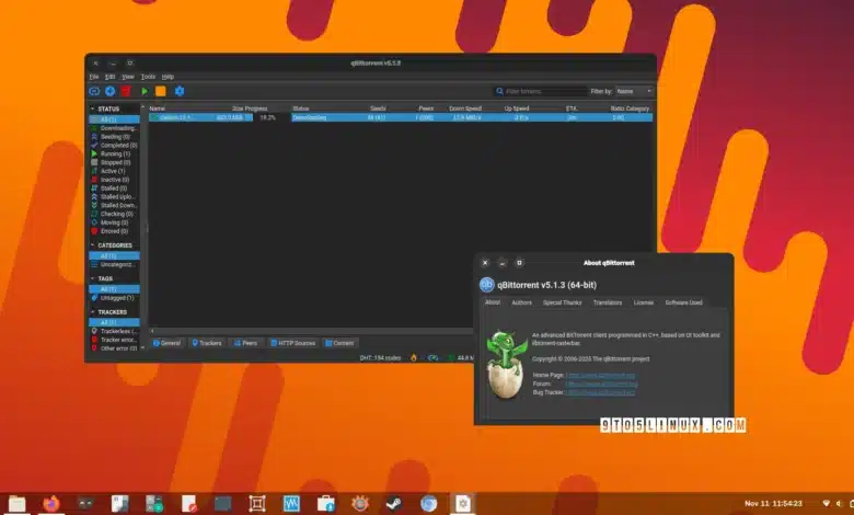 qBittorrent 5.1.3