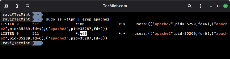 Habilitar HTTPS en Apache