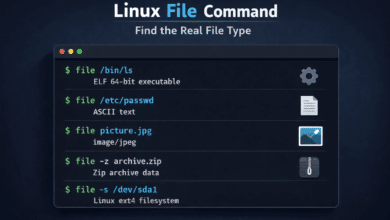 Linux file Command Showing Real File Type Detection in Terminal