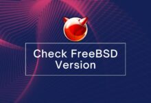 Cómo comprobar la versión de FreeBSD: una guía para principiantes