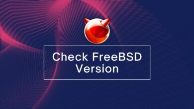 Cómo comprobar la versión de FreeBSD: una guía para principiantes