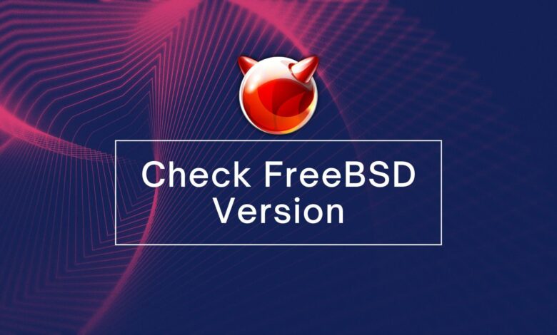 Cómo comprobar la versión de FreeBSD: una guía para principiantes