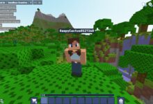 Jugar en Linux nunca fue tan fácil mineracraft