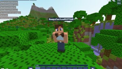 Jugar en Linux nunca fue tan fácil mineracraft