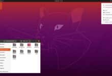 Nueva versión: Ubuntu 20.04.6 LTS – el sistema operativo líder en el mundo