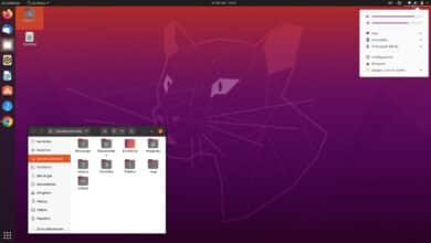 Nueva versión: Ubuntu 20.04.6 LTS – el sistema operativo líder en el mundo