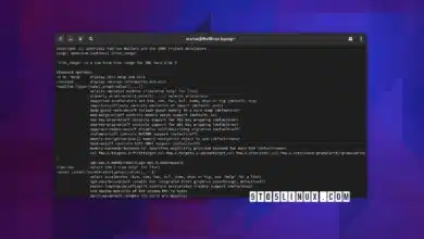 QEMU 8.1