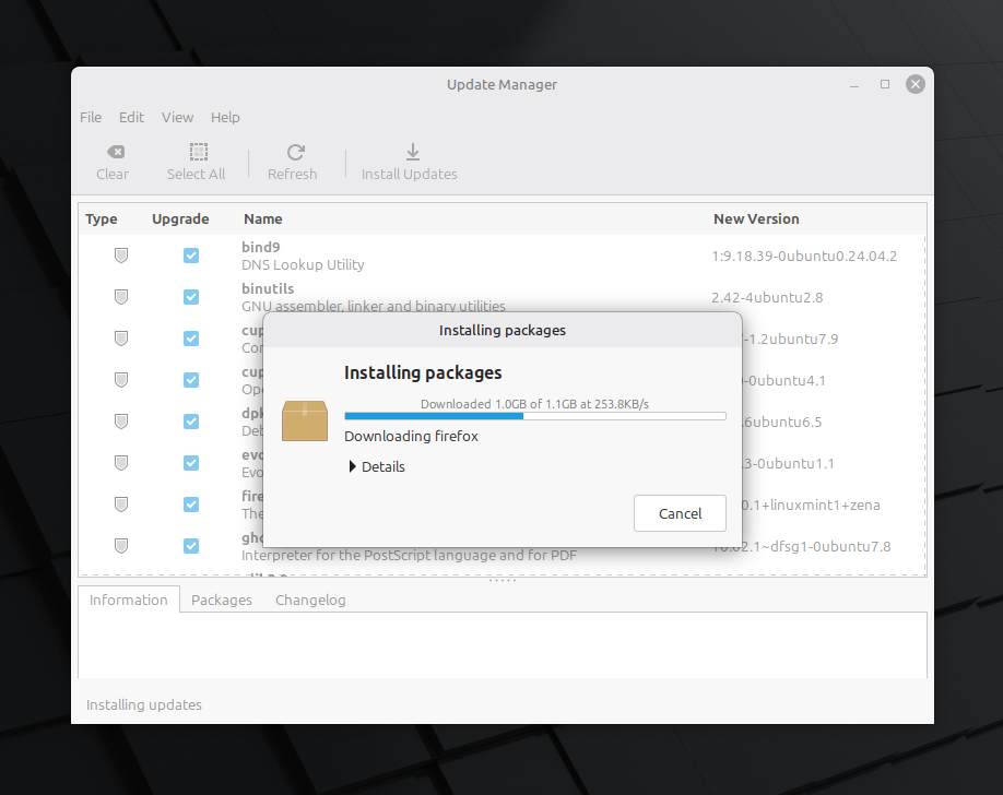 Instalar actualizaciones en Linux Mint Instalar actualizaciones en Linux Mint