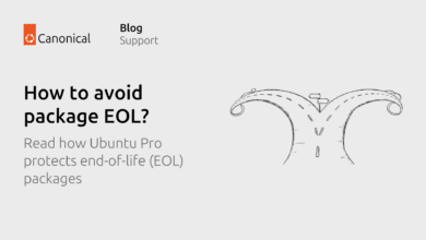 Cómo evitar el fin de vida útil del paquete mediante el backporting