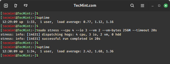 Prueba de estrés multifacética: CPU, E/S, memoria virtual