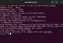 Cómo configurar el servidor de acceso OpenVPN en Ubuntu 24.04 (VM) y conectarse mediante OpenVPN Connect – Consejos para Linux