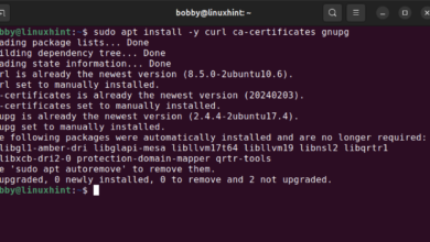 Cómo configurar el servidor de acceso OpenVPN en Ubuntu 24.04 (VM) y conectarse mediante OpenVPN Connect – Consejos para Linux