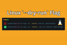 Using Dry Run Flag in Linux Commands
