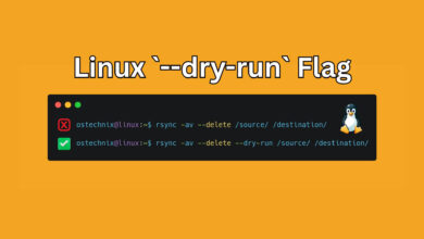 Using Dry Run Flag in Linux Commands