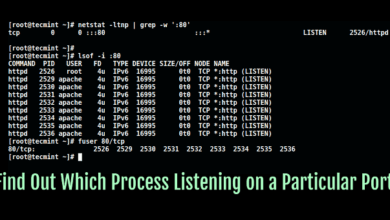 4 formas de comprobar qué proceso está usando un puerto en Linux